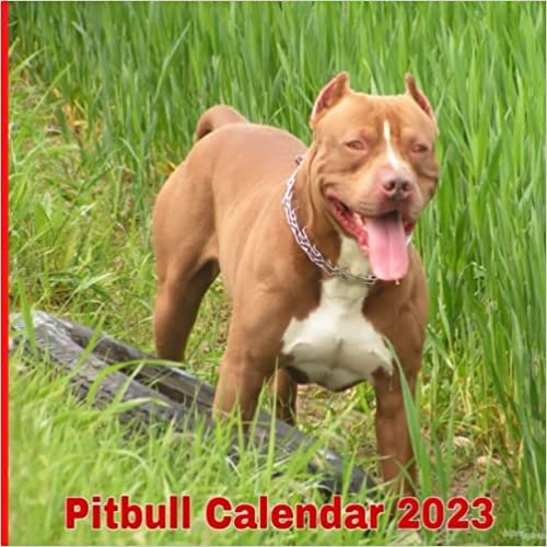 Pitbull Calendar 2023