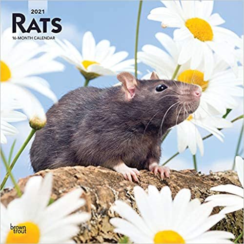 ダウンロード  Rats 2021 Calendar 本