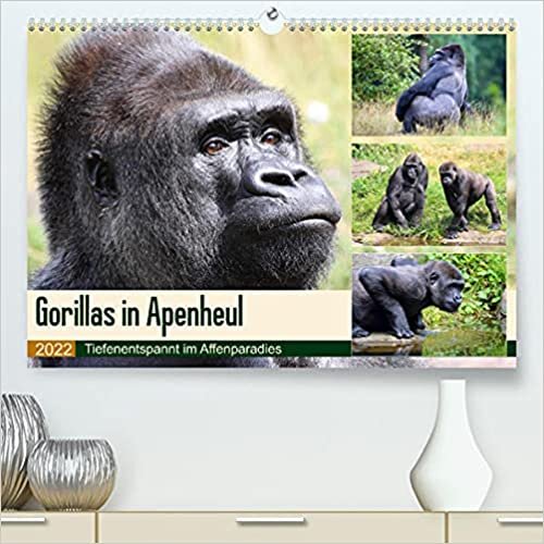 Flachlandgorillas in Apenheul (Premium, hochwertiger DIN A2 Wandkalender 2022, Kunstdruck in Hochglanz): Gorilla-Siesta im Affenparadies (Monatskalender, 14 Seiten )