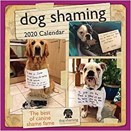 ダウンロード  Dog Shaming 2020 Wall Calendar 本