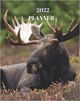 indir 2022 Planner: Moose - Monthly Calendar with U.S./UK/ Canadian/Christian/Jewish/Muslim Holidays– Calendar in Review/Notes 8 x 10 in.-Wildlife Animals For Work Business School