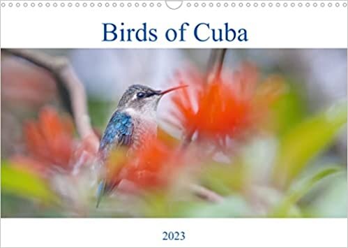 Birds of Cuba Island (Wall Calendar 2023 DIN A3 Landscape): Colorfoul birds of Cuba Island (Monthly calendar, 14 pages )