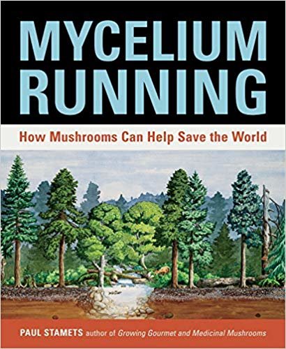 mycelium الجري: كيف والفطر يساعد على توفير The World
