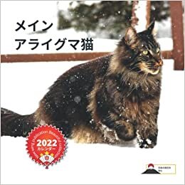 New Wing Publication Beautiful collection 2022 カレンダー メイン アライグマ猫 (日本の祝日を含む) ダウンロード