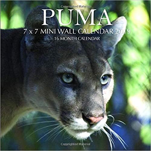 Puma 7 x 7 Mini Wall Calendar 2019: 16 Month Calendar indir