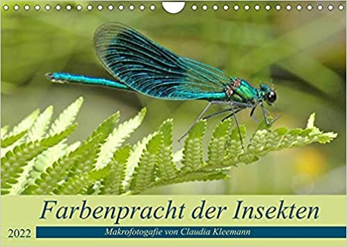 Farbenpracht der Insekten (Wandkalender 2022 DIN A4 quer): Makroaufnahemen verschiedener Insekten verzaubern mit ihrer Farbenpracht (Monatskalender, 14 Seiten ) ダウンロード