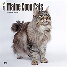 Maine Coon Cats 2018 Calendar