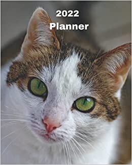 2022 Planner: Green Eye Cat - 12 Month Weekly and Monthly Planner January 2022 to December 2022 -Monthly Calendar with U.S./UK/ ... 8 x 10 in.- Cats Breed Pets Kittens indir