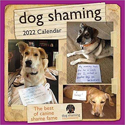 ダウンロード  Dog Shaming 2022 Wall Calendar 本