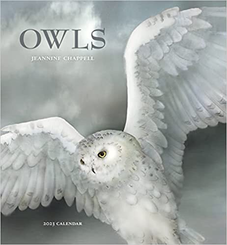 ダウンロード  OWLS JEANNINE CHAPPELL 2023 WALL CALENDA 本