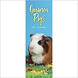 Guinea Pigs Slim Calendar 2021 (Slim Standard) ダウンロード