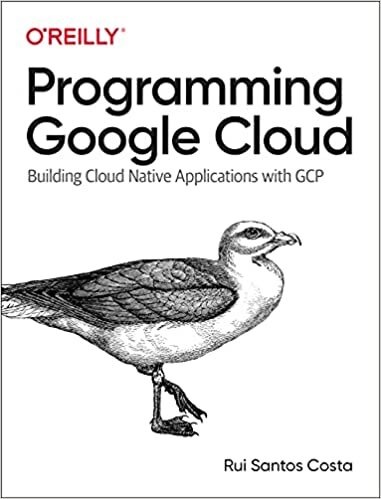 اقرأ Programming Google Cloud: Building Cloud Native Applications with Gcp الكتاب الاليكتروني 