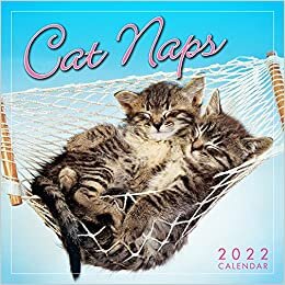 Cat Naps 2022 Calendar