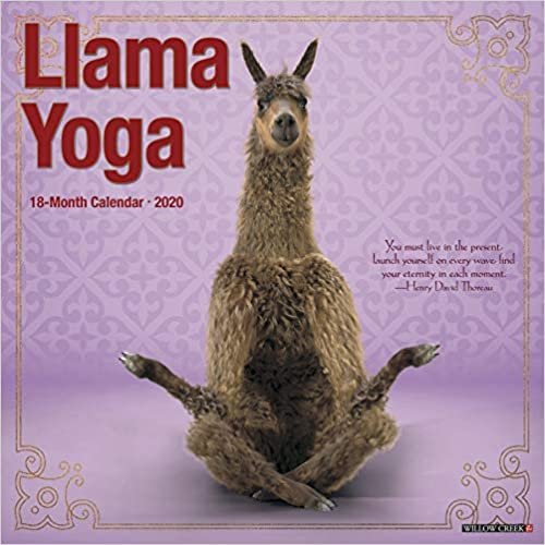 Llama Yoga 2020 Calendar
