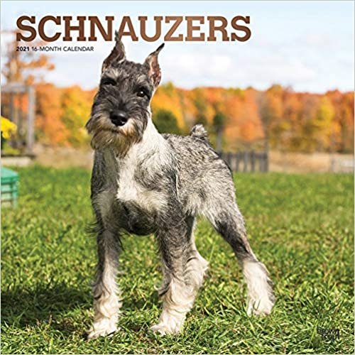Schnauzers - Schnauzer 2021 - 16-Monatskalender mit freier DogDays-App: Original BrownTrout-Kalender [Mehrsprachig] [Kalender] (Wall-Kalender) indir