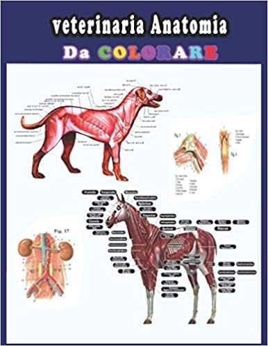 Veterinaria Anatomia Da Colorare: Un modo più semplice e migliore per imparare l'anatomia, il libro da colorare di anatomia animale e fisiologia ... studenti di veterinaria e persino adulti