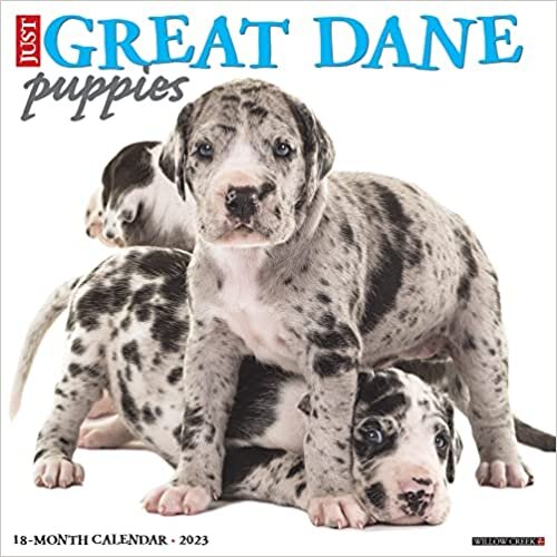 ダウンロード  Just Great Dane Puppies 2023 Wall Calendar 本