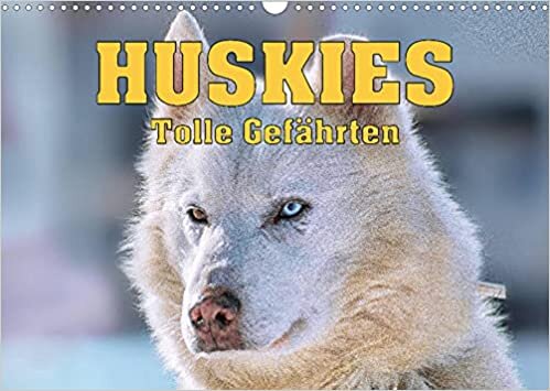 Huskies - Tolle Gefaehrten (Wandkalender 2022 DIN A3 quer): Schlittenhunde namens Huskies (Monatskalender, 14 Seiten )