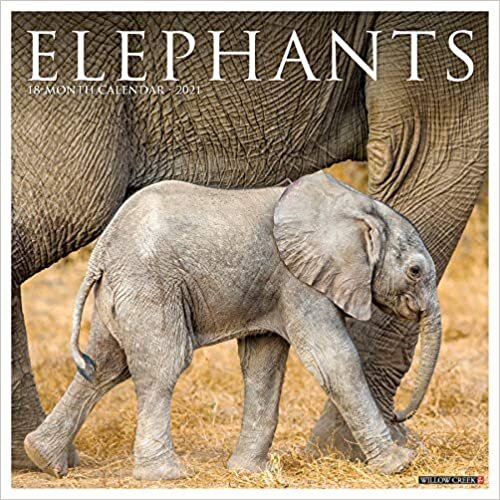 ダウンロード  Elephants 2021 Calendar 本