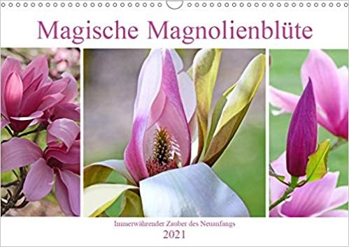 indir Magische Magnolienblüte (Wandkalender 2021 DIN A3 quer): Zauberhafte Magnolien zeigen sich von ihrer schönsten Seite (Monatskalender, 14 Seiten )