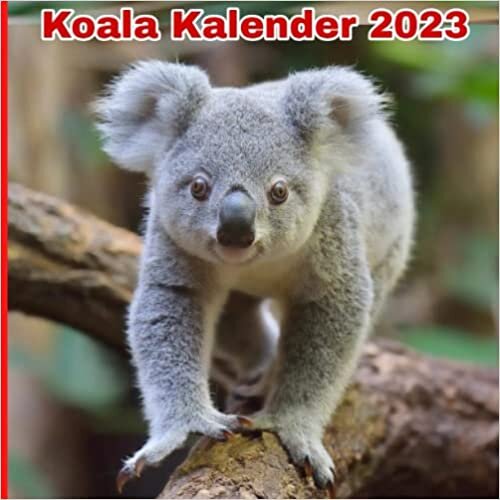 Koala Calendar 2023: Gift for animals lovers