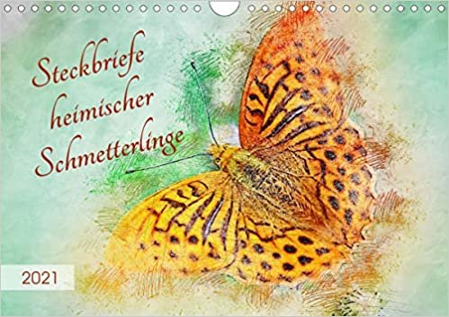 Steckbriefe heimischer Schmetterlinge (Wandkalender 2021 DIN A4 quer): Die bunter Vielfalt der Schmetterlinge im Garten (Monatskalender, 14 Seiten )