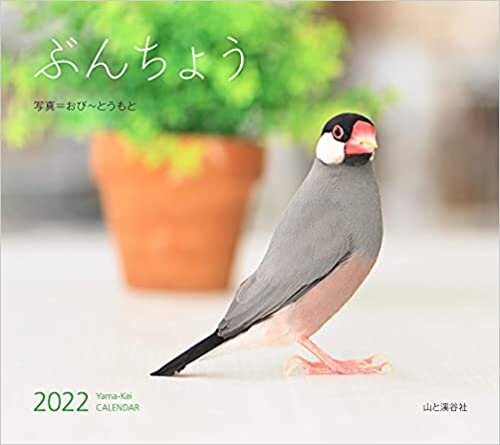 カレンダー2022 ぶんちょう (月めくり・壁掛け) (ヤマケイカレンダー2022)