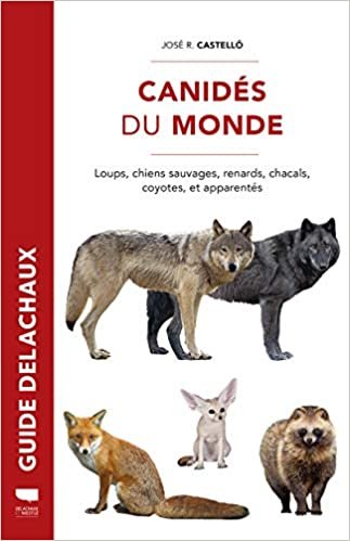 Canidés du Monde - Loups, chiens sauvages, renards, chacals, coyotes, et apparentés (Mammiféres) indir