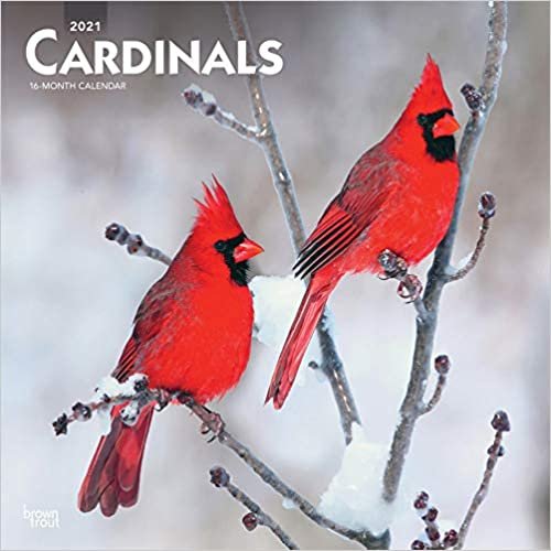 Cardinals 2021 Calendar