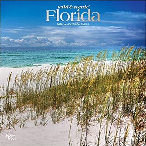 BrownTrout Publishers Inc. Florida Wild & Scenic 2020 12 x 12 Inch Monthly Square Wall Calendar with Foil Stamped Cover, USA United States of America Southeast State Nature تكوين تحميل مجانا BrownTrout Publishers Inc. تكوين