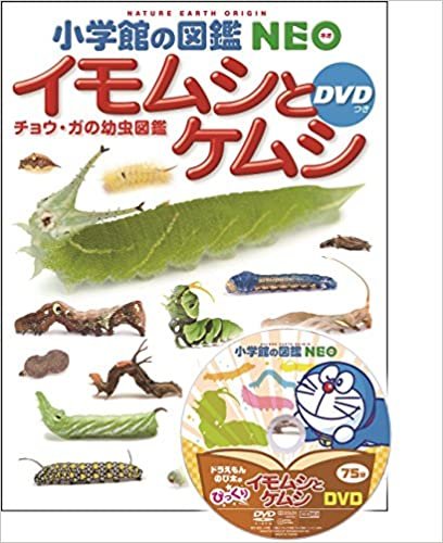 小学館の図鑑NEO イモムシとケムシ DVDつき: チョウ・ガの幼虫図鑑