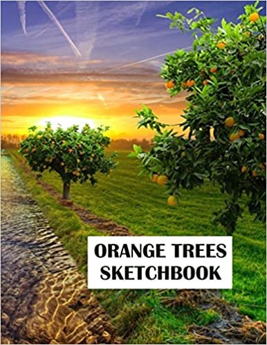 Orange Trees Sketchbook: Notebook, Journal, 8,5 x 11, 120 pages for Writing, Drawing and Sketching (Sketchbook for you) indir