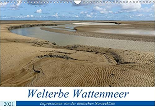 Welterbe Wattenmeer (Wandkalender 2021 DIN A3 quer): Die Welterbestaette Wattenmeer fasziniert insbesondere durch seine wilde und bizarre Schoenheit. (Monatskalender, 14 Seiten )