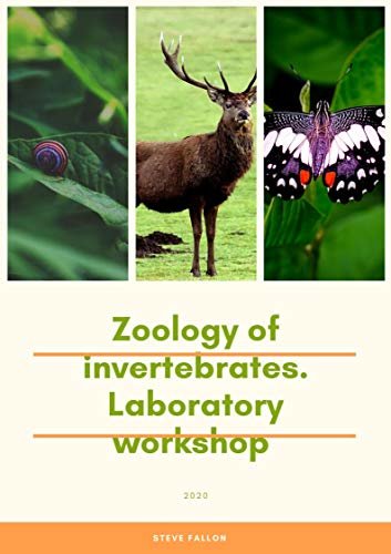 ダウンロード  Zoology of invertebrates. Laboratory workshop (English Edition) 本