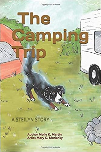 indir The Camping Trip: A Steilyn Story