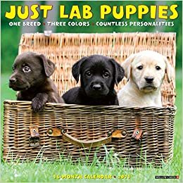 indir Just Lab Puppies 2021 Calendar