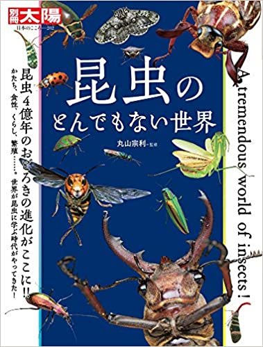 ダウンロード  昆虫のとんでもない世界 (282) (別冊太陽 日本のこころ 282) 本