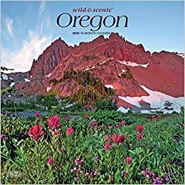 ダウンロード  Wild & Scenic Oregon 2020 Calendar 本