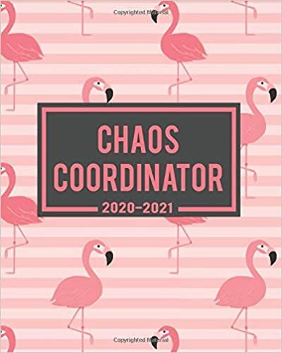 indir Chaos Coordinator 2020-2021: Two Year Cute Pink Flamingo Weekly Planner, Schedule Agenda &amp; Organizer | 2 Year Calendar with To-Do’s, U.S. Holidays, Inspirational Quotes, Vision Board &amp; Notes