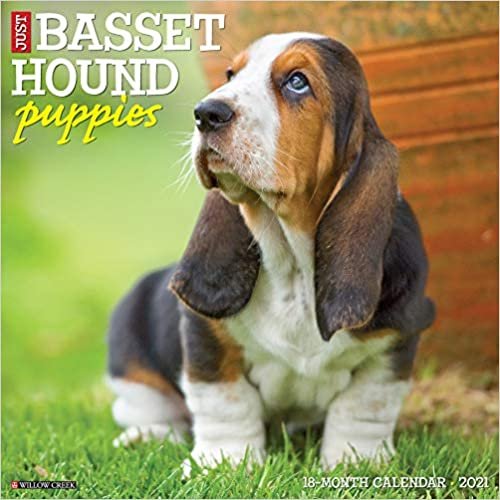 indir Just Basset Hound Puppies 2021 Calendar