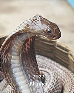 2022 Planner: Cobra Snake - Monthly Calendar with U.S./UK/ Canadian/Christian/Jewish/Muslim Holidays– Calendar in Review/Notes 8 x 10 in.-Reptile Animals - For Work Business School indir