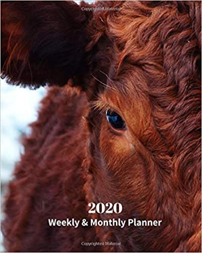 2020 Weekly and Monthly Planner: Brown Cattle - Monthly Calendar with U.S./UK/ Canadian/Christian/Jewish/Muslim Holidays– Calendar in Review/Notes 8 x 10 in.-Wildlife Ranch Animals Nature indir