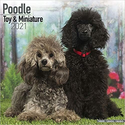 ダウンロード  Poodle Toy & Miniature 2021 本