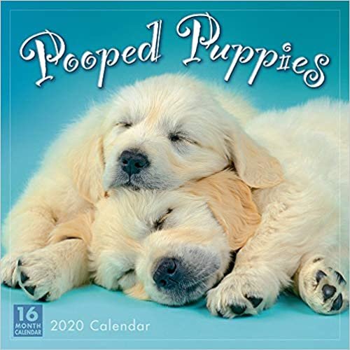 ダウンロード  Pooped Puppies 2020 Calendar 本
