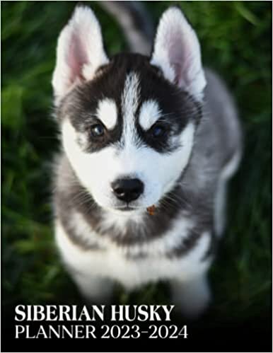 ダウンロード  Siberian Husky Puppies Planner Calendar 2023 - 2024: Siberian Husky Puppies 2023-2024 Monthly Large Planner, 2023-2024 Planners For Women Men Dad Mom, Christmas Birthday Gifts For Student Teacher 本