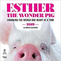 ダウンロード  Esther the Wonder Pig 2019 Calendar 本