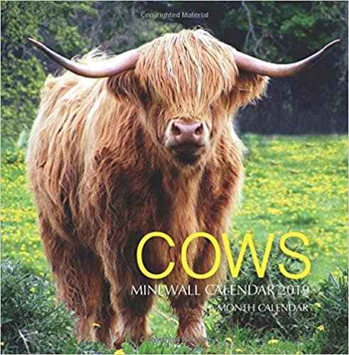 Cows Mini Wall Calendar 2019: 16 Month Calendar indir