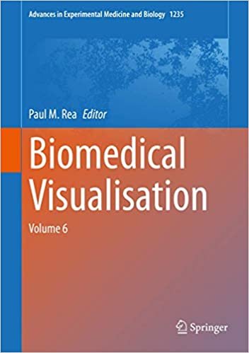 Biomedical Visualisation: Volume 6 (Advances in Experimental Medicine and Biology)
