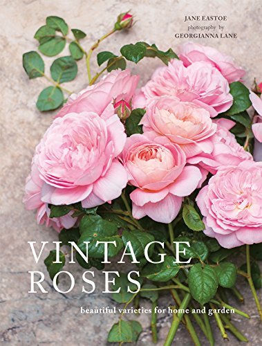 Vintage Roses: Beautiful varieties for home and garden (English Edition)