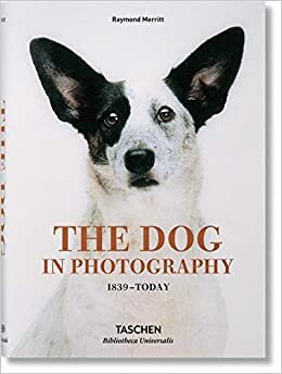 اقرأ The Dog in Photography 1839–Today الكتاب الاليكتروني 